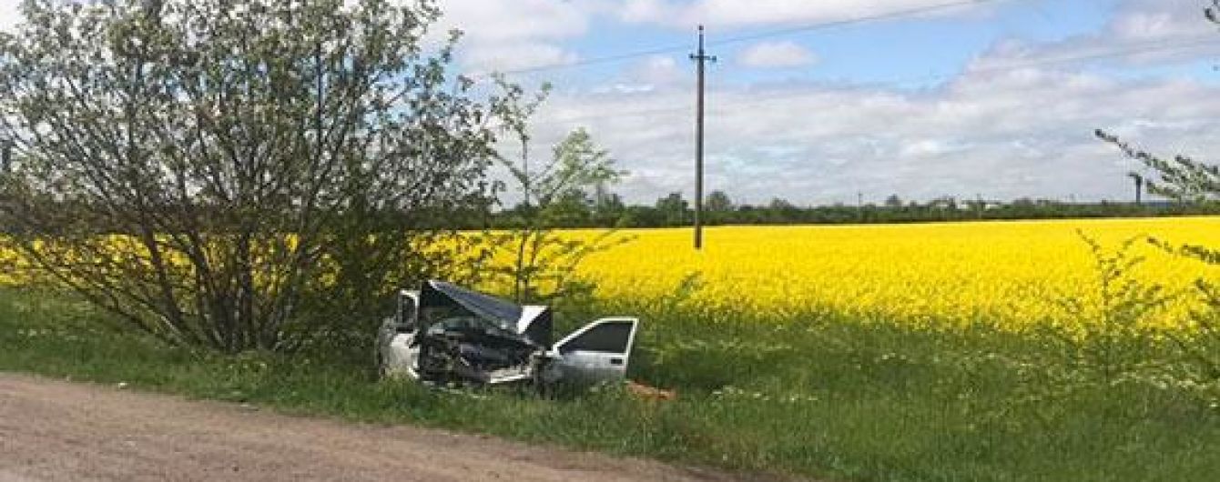В Николаевской области легковушка врезалась в грузовик, погибли супруги пенсионеры