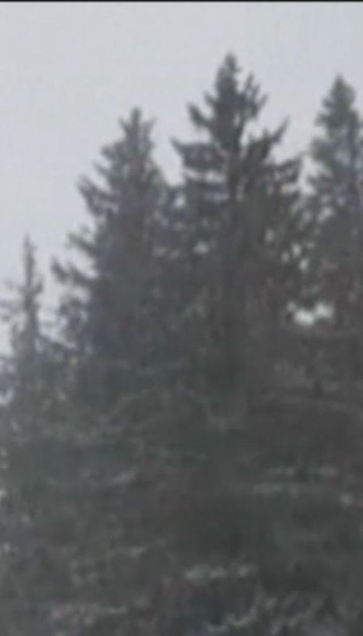 В горной местности Румынии выпал снег