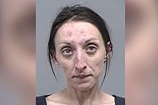 В США женщина проникла в чужой дом, чтобы помыть посуду и поиграть с собакой