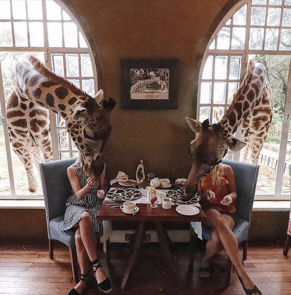 готель Giraffe Manor у Кенії