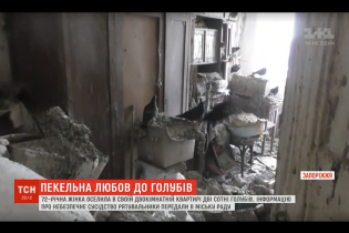 Помет на мебели, полу и посуде: запорожская пенсионерка превратила квартиру в голубятню