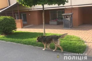 Покусав обличчя та тіло. Неподалік Києва собака накинувся на маленьку дівчинку