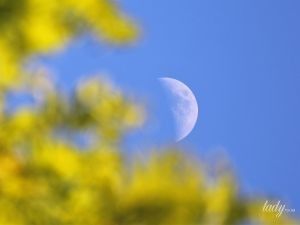 Лунный календарь на 13-14 августа: дни, когда лучше отдохнуть и ничего не делать