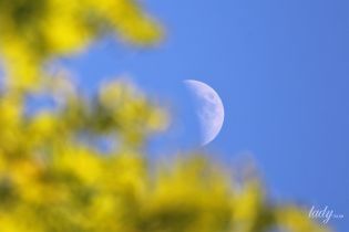 Лунный календарь на 8-9 августа: дни, когда нужно очищаться снаружи и изнутри