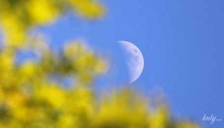 Лунный календарь на 8-9 августа: дни, когда нужно очищаться снаружи и изнутри
