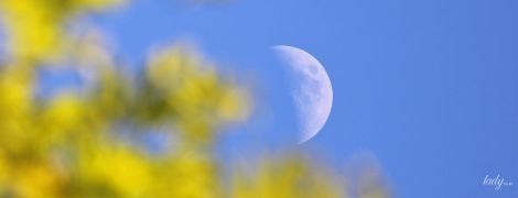 Місячне затемнення 5 червня: на нас чекають морські катастрофи, цунамі і ошуканство в ЗМІ