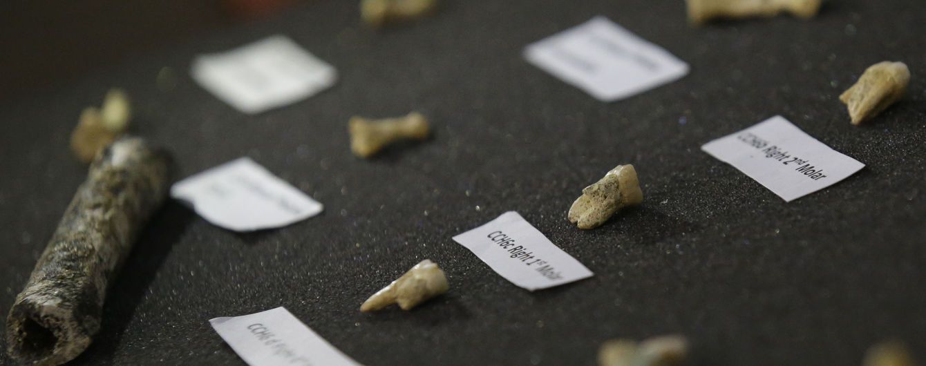 Исследователи нашли старейшую скандинавскую ДНК в первобытной жвачке