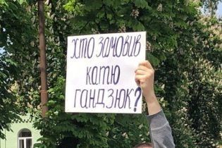Парламент ухвалив звіт ТСК щодо вбивства Гандзюк
