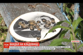 На Вінничині школяр поглумився з могил: пошкодив 60 надгробків