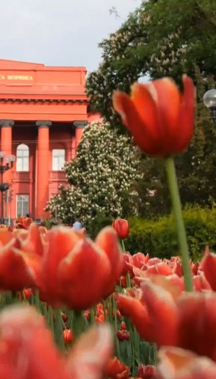Напередодні Дня Києва ТСН підібрала десятку нетипових фактів про столицю