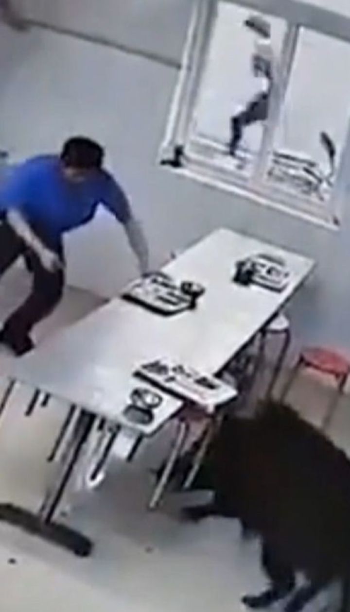 Безумный кабан напал на столовую в Китае