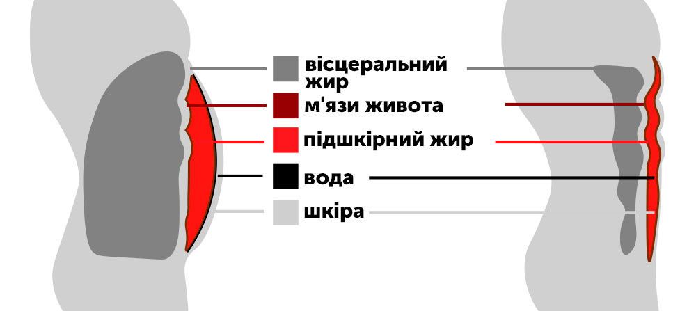 Жир, для блогів
