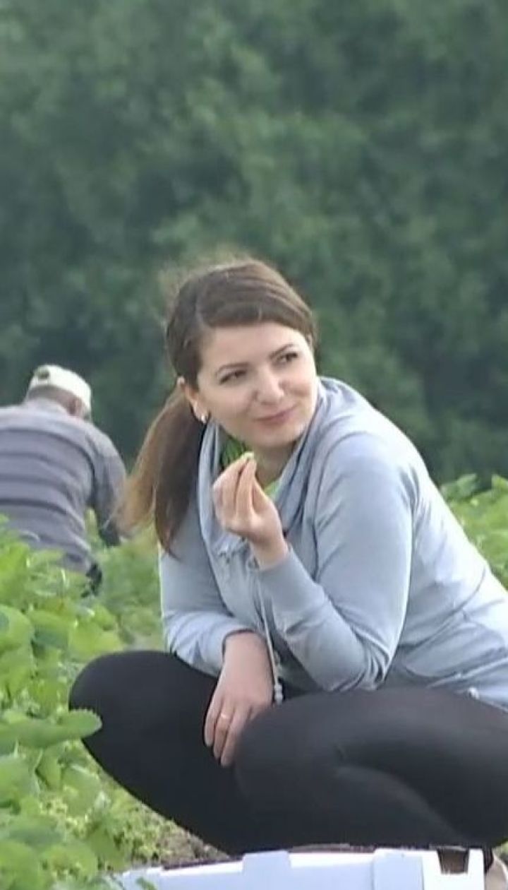 Работа на лето: какие вакансии пользуются наибольшим спросом на рынке труда