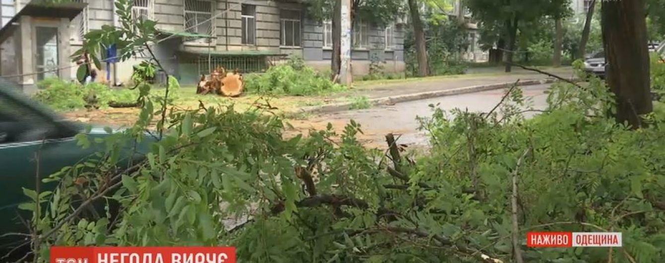 Поваленные деревья перекрыли Одессу после ночной непогоды