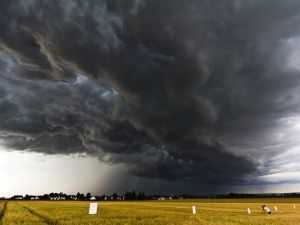 У деяких регіонах України злива знищила врожай та змила дороги: чому стихія виникла раптово