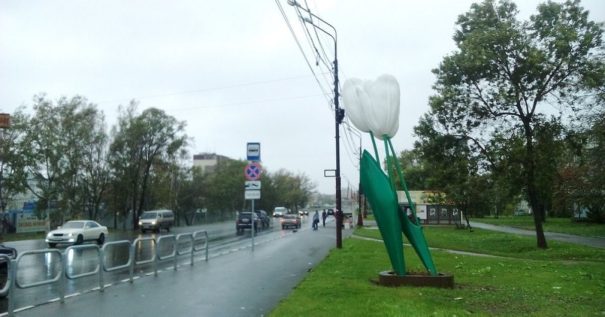 На Сахалине бушует непогода / © sakhalin.info