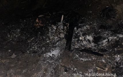 Падение дельтаплана в Киевской области: полиция установила, что самолет был произведен кустарно