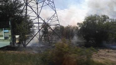 пожежа в Чорнобильскій зоні / © Facebook/Наталка Левіна