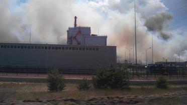 пожежа в Чорнобильскій зоні / © Facebook/Наталка Левіна