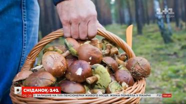 Чем грибы полезны для здоровья