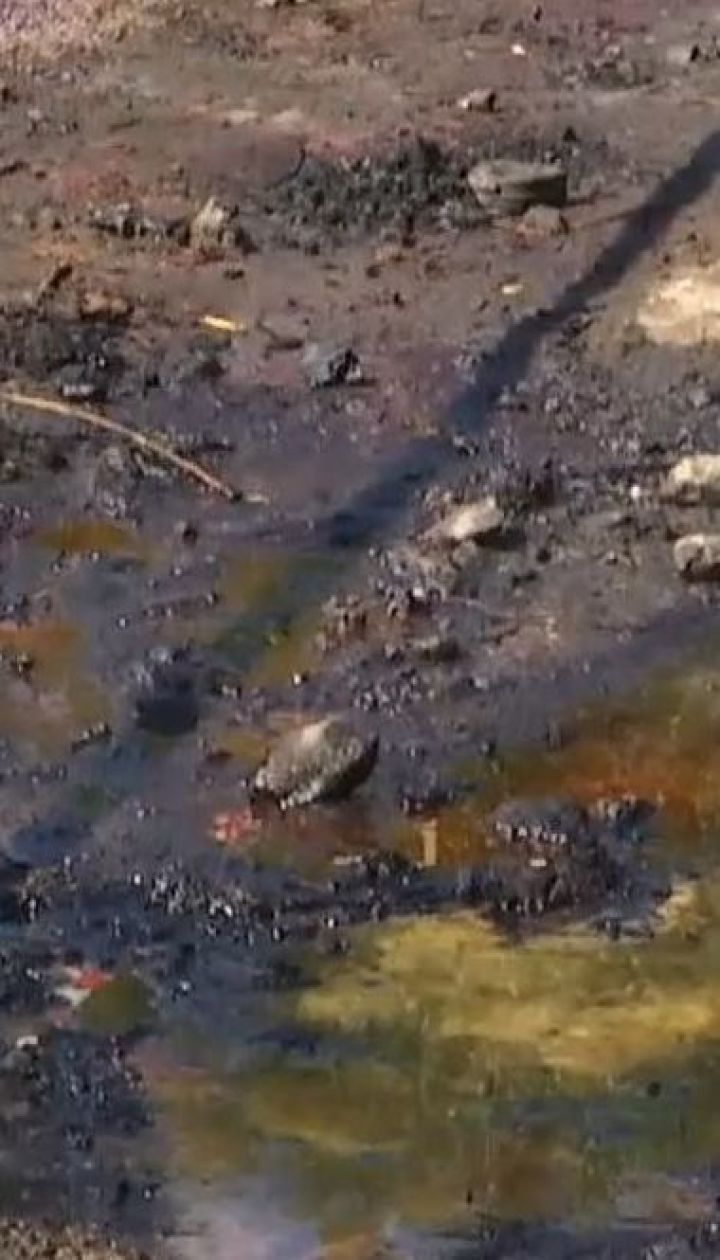 ДСНС позволила использовать воду из реки Рось, в которую попали химикаты