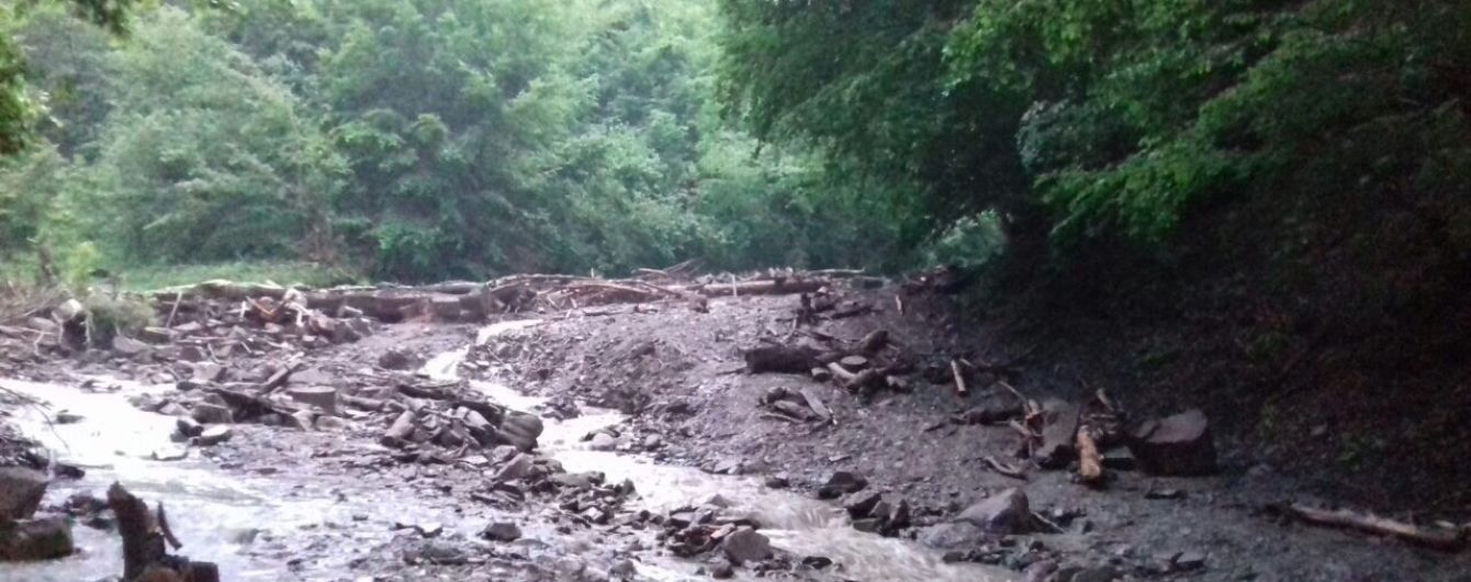 Правоохоронці розповіли деталі загибелі лісорубів на Закарпатті