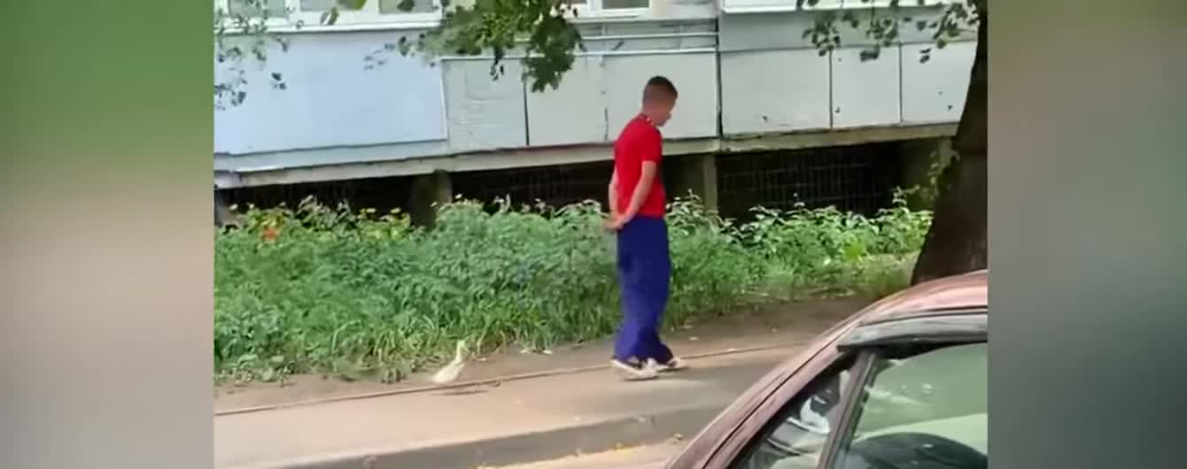 Харьковчанин с уткой на поводке и короткометражка канадца о жизни Троещины. Тренды Сети
