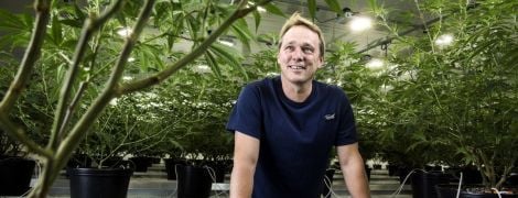 Як заробити 15 млрд доларів на марихуані — матеріал Bloomberg