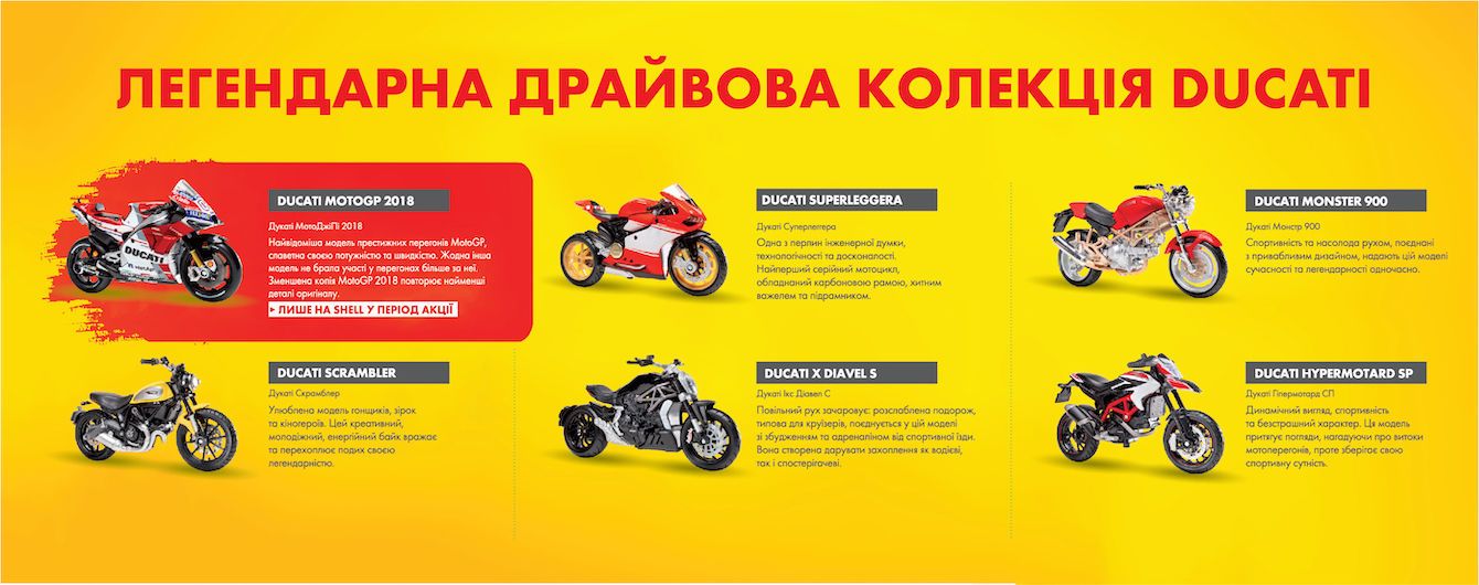 Shell_new-3