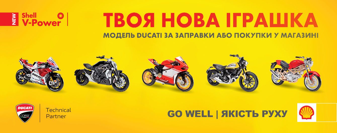 Shell_new-5