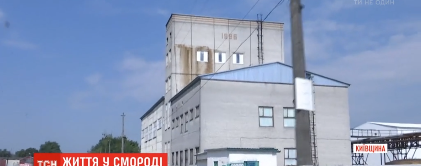 Життя у смороді. На Київщині люди воюють з цукрозаводом і свинофермою