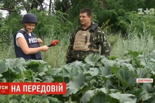 "Вітаміни і маскування": військові поставили овочі на службу армії в ООС