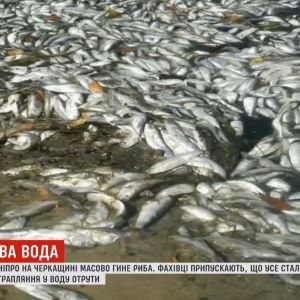 Дніпро отруїли: в головній річці України масовий мор риби і раків