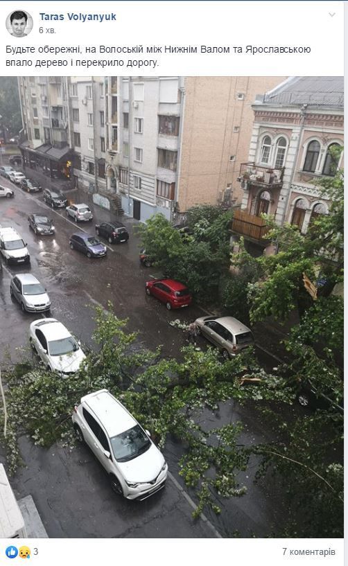 Повалене дерево 27 червня