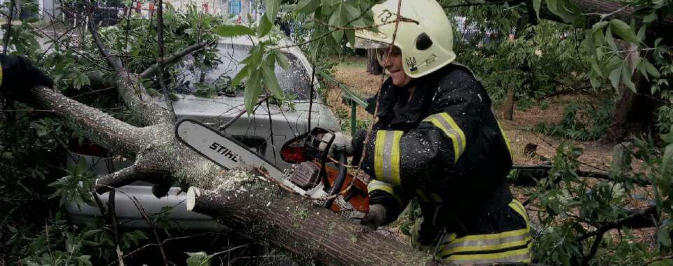 Негода прокотилася Україною: повалені дерева травмували людей та трощили автівки