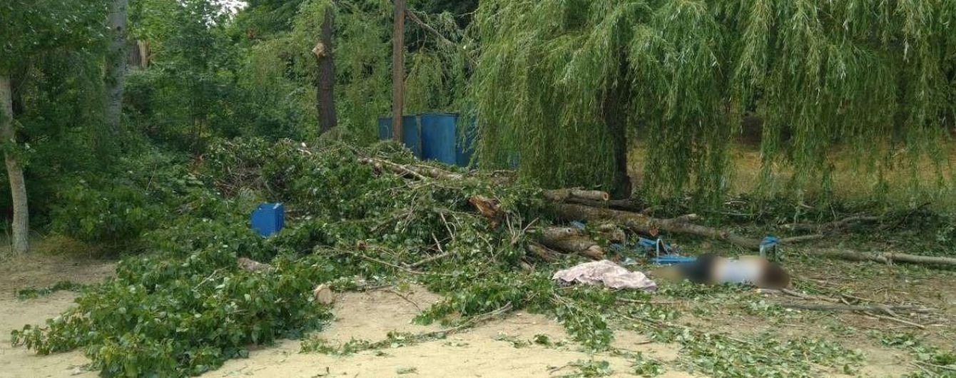 Во время непогоды упало дерево и убило женщину, еще двое человек тяжело травмированы