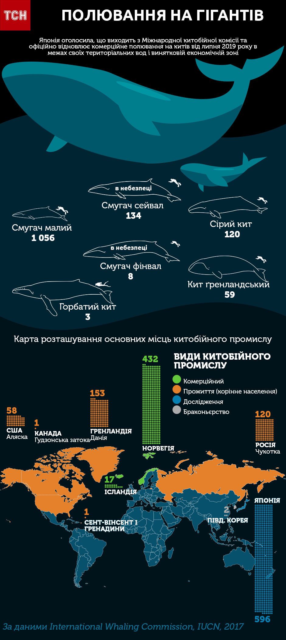 Китобійний промисел у світі, інфографіка