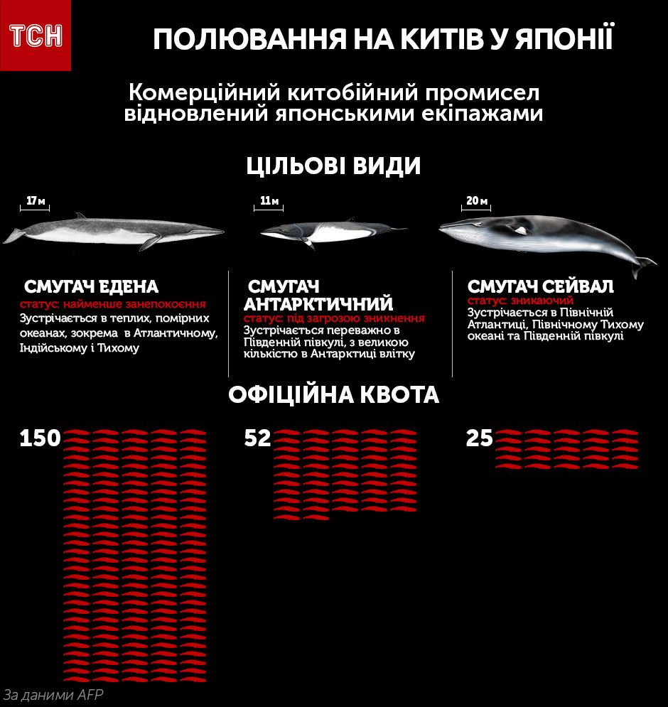 Китобійний промисел в Японії 2019 рік, інфографіка