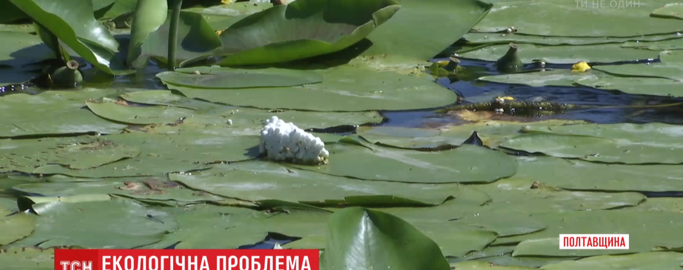 Вместо рыбы пенопласт. Берега реки Псел плотно покрыл бытовой мусор
