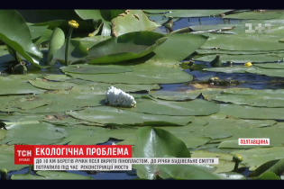 Вместо рыбы пенопласт. Берега реки Псел плотно покрыл бытовой мусор