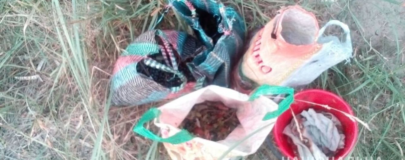 Сезон чорниць: як не придбати "радіаційні" ягоди