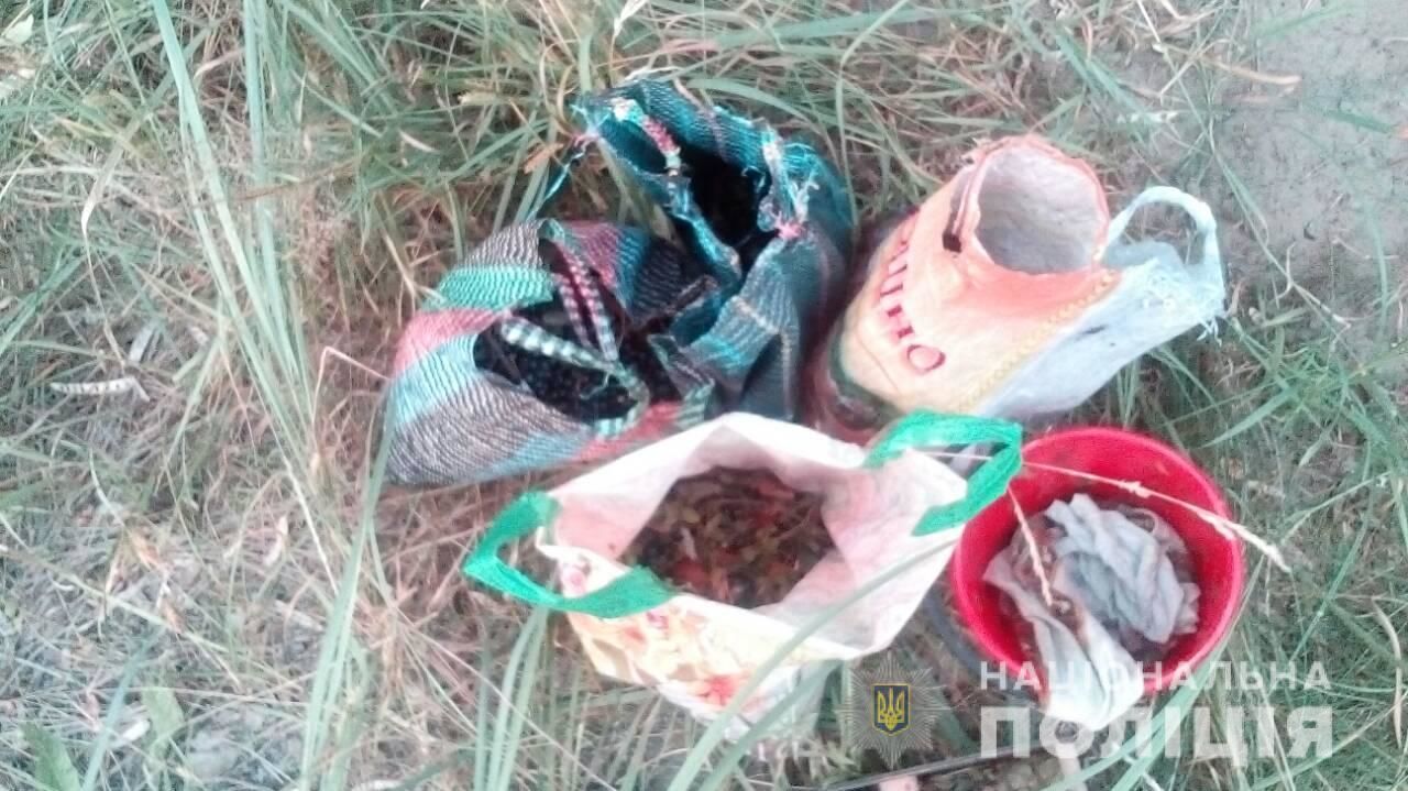 Чорниця_затримана