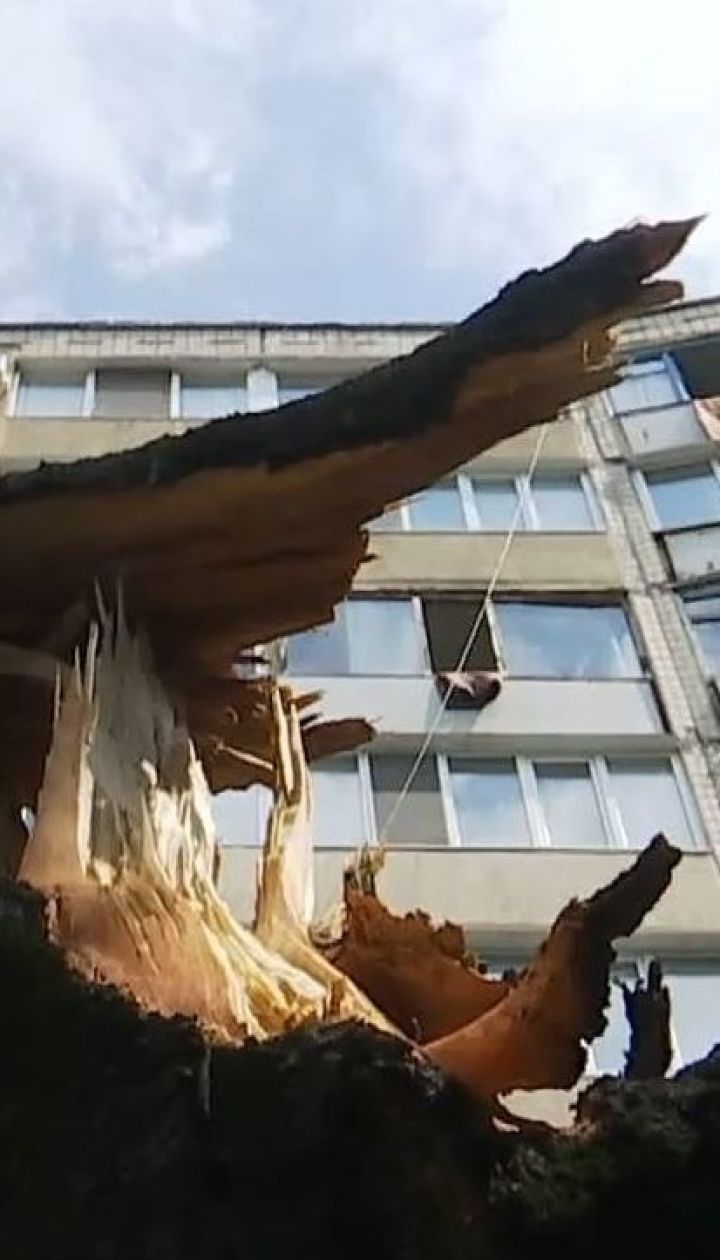 У Кривому Розі чоловік під час буревію намагався викрасти обірвані дроти, його вбило струмом