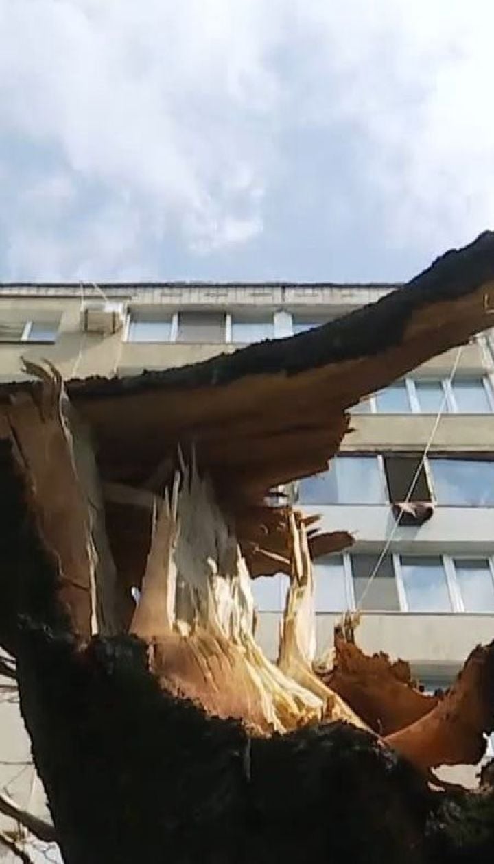 В Кривом Роге мужчина во время урагана пытался украсть оборванные провода, его убило током