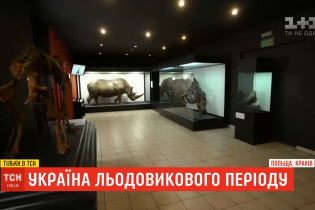 Украина ледникового периода: какие сокровища могут быть спрятаны на Прикарпатье