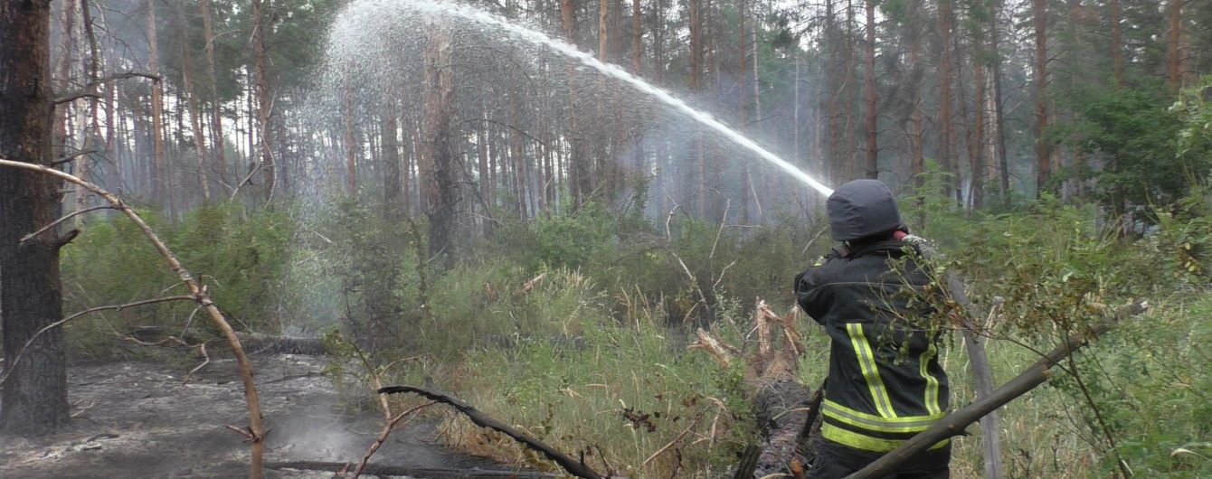 На Луганщине потушили пожар в заминированном лесу