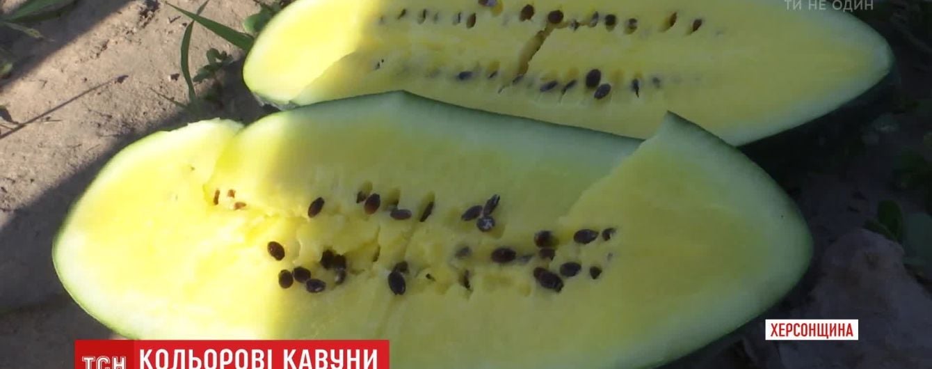 На Херсонщине выращивают желтые, оранжевые и пятнистые арбузы