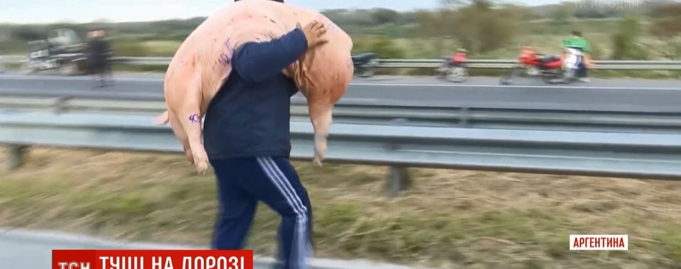 Аргентинцы после ДТП на глазах полиции разграбили фуру со свининой
