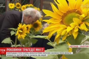 У Нідерландах висаджують соняхи з Донбасу на згадку про загиблих у катастрофі МН17