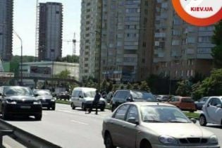 Ручной собака спровоцировал масштабную аварию в Киеве